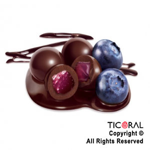 ARANDANOS CON COBERTURA S/AMARGA  X 500gr CHOCOLART